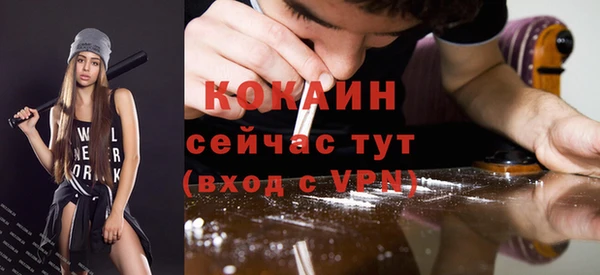 молекула духа Михайловка