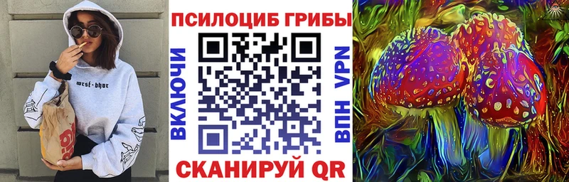 Купить где  Осташков  Галлюциногенные грибы Magic Shrooms 
