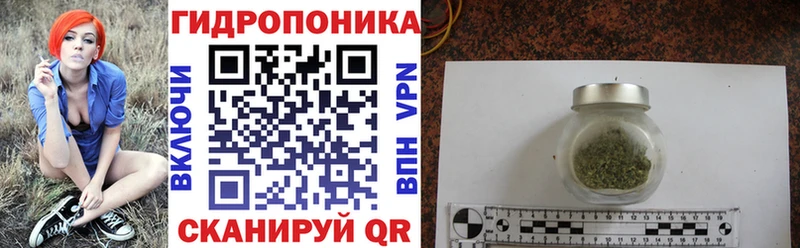 Купить закладки  Осташков  Конопля OG Kush 